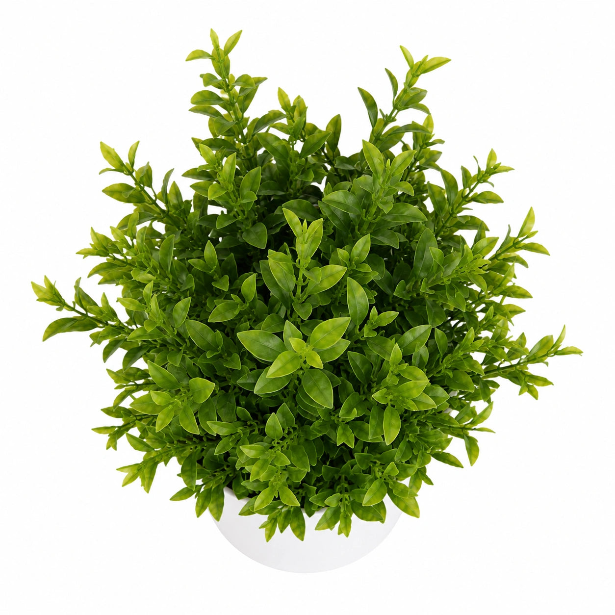 Liberty Wholesale Artificial Green Leaf Potted Plant with White Plastic Pot